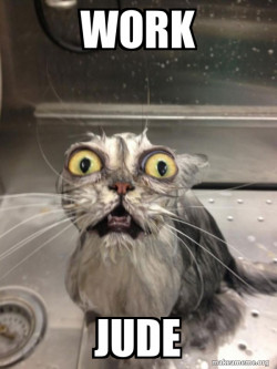 Cat bath
