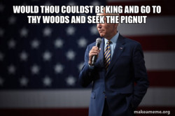 Joe Biden 2020