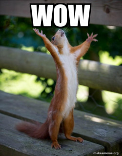 Happy Squirrel