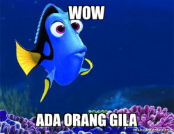 Dory from Nemo  (5 second memory)