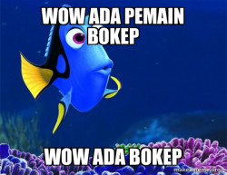 Dory from Nemo  (5 second memory)