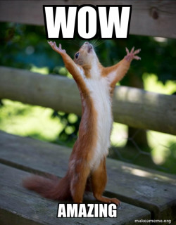 Happy Squirrel