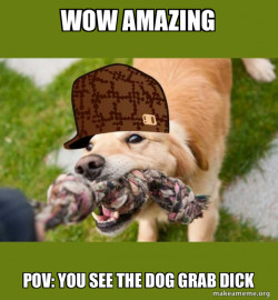 Scumbag dog