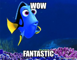 Dory from Nemo  (5 second memory)