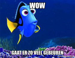 Dory from Nemo  (5 second memory)