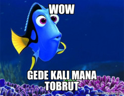 Dory from Nemo  (5 second memory)