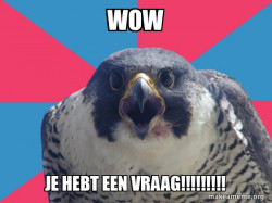 Millennial Falcon