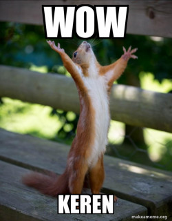 Happy Squirrel