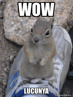 Standover Squirrel