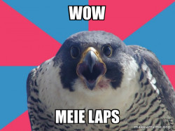 Millennial Falcon
