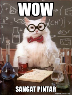 Chemistry Cat