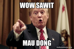 Donald Trump Says