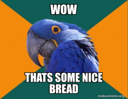 Paranoid Parrot