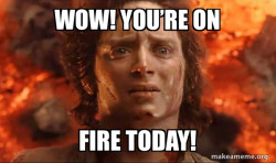Frodo it's over it's done