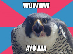 Millennial Falcon