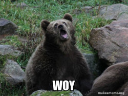 Sarcastic Bear