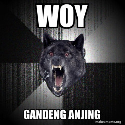 Insanity Wolf