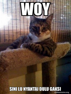The Most Interesting Cat in the World