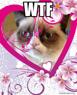 Grumpy cat Valentines Day