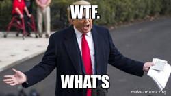 Trump - Impeachment Quid Pro Quo