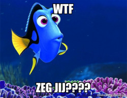 Dory from Nemo  (5 second memory)