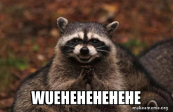 Evil Plotting Raccoon