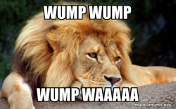 Confession Lion