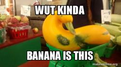 Gourd Advice Mallard