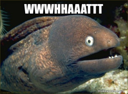 Bad Joke Eel