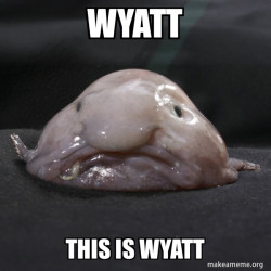 Blobfish