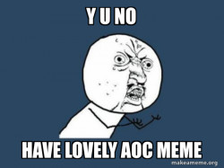 Y U No