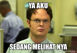 Schrute Facts (Dwight Schrute from The Office)