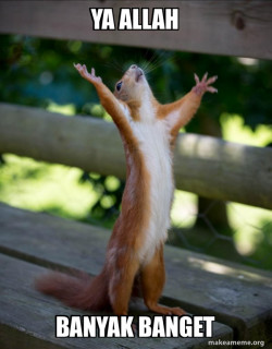 Happy Squirrel