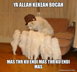 Scumbag Storytelling Dog