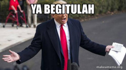 Trump - Impeachment Quid Pro Quo