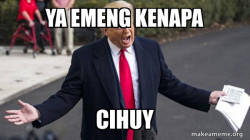 Trump - Impeachment Quid Pro Quo