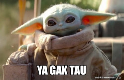 Baby Yoda looking at you