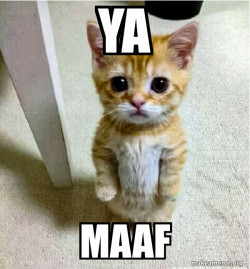 Cute Cat Standing