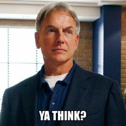 office Gibbs