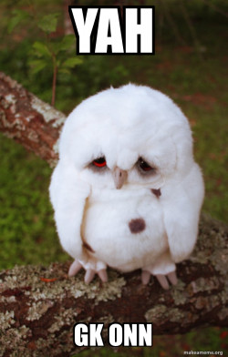 Sad Owl