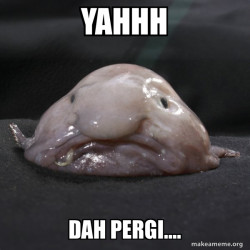 Blobfish