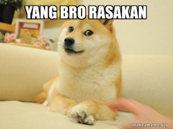 Doge