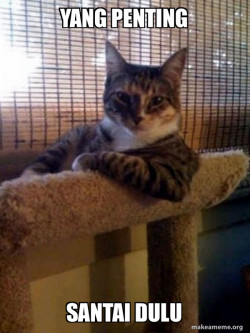 The Most Interesting Cat in the World
