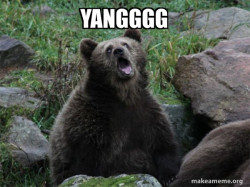 Sarcastic Bear