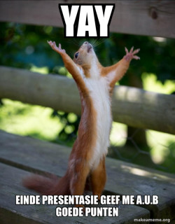 Happy Squirrel