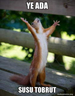 Happy Squirrel