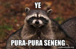 Evil Plotting Raccoon