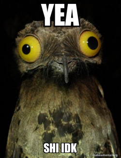 Weird Stuff I do Potoo