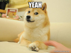 Doge