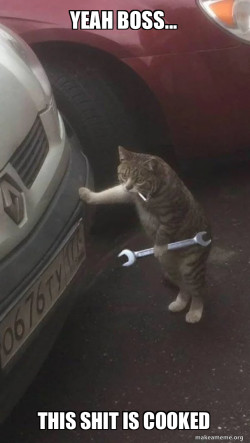 Mechanic Cat